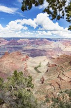 Beautiful landscape of the grand canyon, arizona