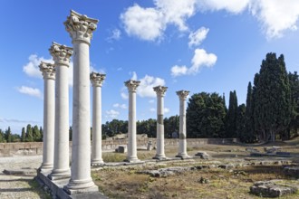 Middle terrace, Apollo temple columns, Asclepieion, Latin Aescupium, three terraces, place of