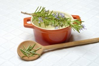 Rosemary, rosemary sprig on cooking spoon with cooking pot