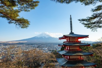 Five-story pagoda of a Shinto Shrine, Chureito Pagoda, with views of Fujiyoshida City and Mount