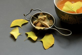 Ginkgo leaves in tea strainer and tea in bowl, ginkgo biloba