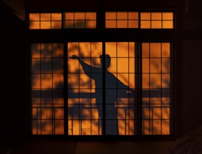 Shadows of a woman in kimono, on the balcony behind sliding shoji doors in a traditional Japanese