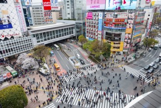 Modern houses with colorful neon signs and large road intersection, Shibuya Crossing from above,