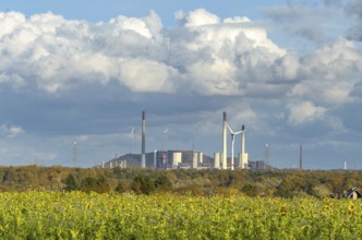 Symboldild with clouds Cumulus calvus for wind energy at the top, Uniper power plant with fossil