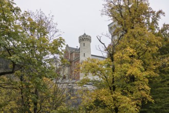 Neuschwanstein in autumn, Schwangau, Füssen, Allgäu, Bavaria, Germany