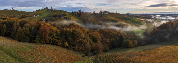 Panorama, aerial view, typical landscape in autumn with vineyards, South Styrian hills, South
