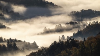 Sunrise, typical landscape in autumn with vineyards and fog, South Styrian hills, South Styrian
