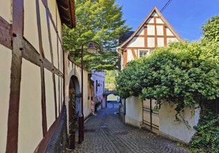 Enge gasse with half-timbered houses in the old town of Unkel, Rotweinstadt, Neuwied district,