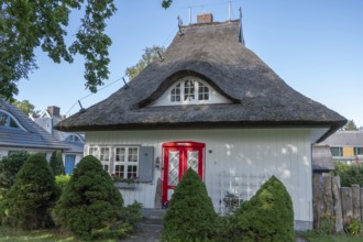 Residential house with thatched roof, Ahrenshoop, Darß, Mecklenburg-Western Pomerania, Germany