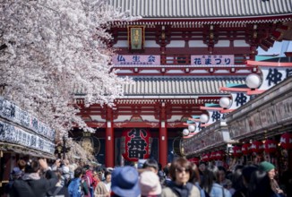 View of numerous visitors on Nakamise-dori shopping street with Hozomon Gate of Asakusa Shrine or