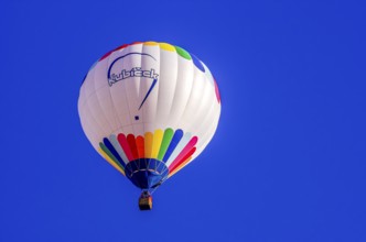 A hot air balloon, registration D-OÖJ, rises into the air as part of an air show at the