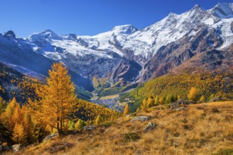 View from Kreuzboden to Saas-Fee with Alalin 4027m, Alphubel 4206m and Mischabel Group 4545m in