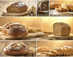 Collage of rustic loaf of whole grain bread, bread on dark rustic wooden table, great variety of