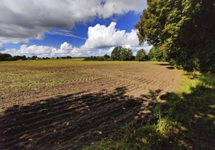 Cultural landscape, Sonnenberg municipality, Oberhavel district, Brandenburg, Germany