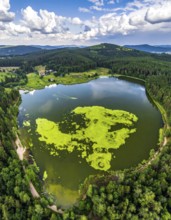 Green algae on the lake. Aerial view of nature, landscape with hills and forest in summer, cloudy