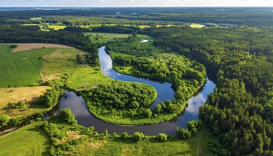 Ecology and environment concept. Green wilderness nature from above. Aerial view on meandering