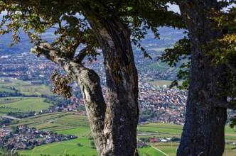 Picturesque scenery on the eaves of the Swabian Jura near Olgafels on Rossfeld in Metzingen-Glems,