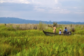 Boat with tourists in Mabamba Swamp, Tourists, Mabamba Swamp, Lake Victoria, Uganda