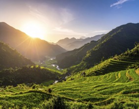 Early morning light bathes Philippines rice terraces cascading down mountain slopes, beautiful