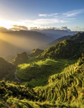 Early morning light bathes Philippines rice terraces cascading down mountain slopes, beautiful