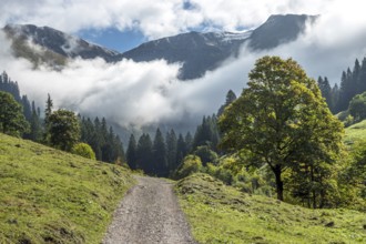 Hiking trail in the Dietersbachtal from Gerstruben to Alpe Dietersbach, Nebelschwanden hang in the