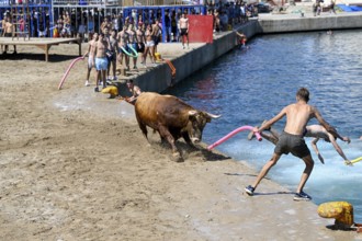 Bous a la Mar Fair, in English Bulls in the Sea, Bullfighting, Javea or Xàbia, Alicante Province,