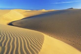 Sand dunes, Maspalomas, Playa del Ingles, Gran Canaria, Canary Islands, Spain