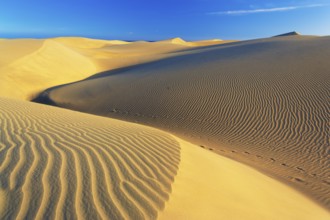 Sand dunes, Maspalomas, Playa del Ingles, Gran Canaria, Canary Islands, Spain