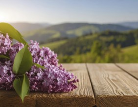 Beautiful Spring Lilacs Bloom Over Wooden Table with Rolling Hills in Background, sunrise at