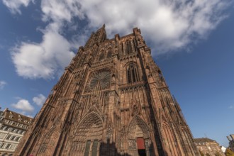 Strasbourg's Notre Dame Cathedral stands majestically there. Its magnificent architectural details