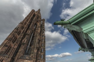Strasbourg's Gothic cathedral stands majestically under a cloudy sky. In the background is an