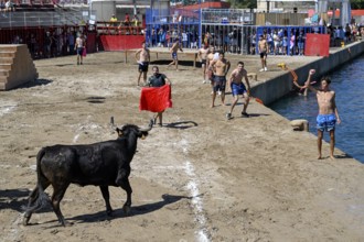 Bous a la Mar Fair, in English Bulls in the Sea, Bullfighting, Javea or Xàbia, Alicante Province,