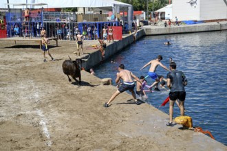 Bous a la Mar Fair, in English Bulls in the Sea, Bullfighting, Javea or Xàbia, Alicante Province,