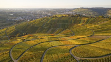 Golden autumn over the vineyards of Weinstadt Beutelsbach, Baden-Württemberg, Germany