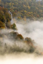 View from the Knopfmacherfelsen into the Danube valley, limestone rock, rock face, mixed forest,