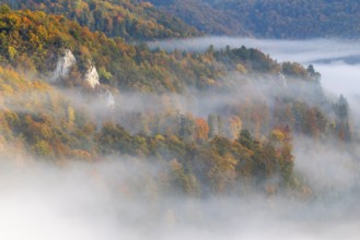 View from the Knopfmacherfelsen into the Danube valley, limestone rock, rock face, mixed forest,