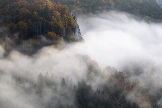 View from the Knopfmacherfelsen into the Danube valley, mixed forest, autumn colours, fog, autumn,