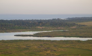 Landscape, Lake Victoria and Mabamba Swamp, Lake Victoria, Uganda
