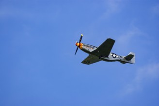 A North American P-51 Mustang of the flying group Flying Bulls, the Nooky Booky IV during an air