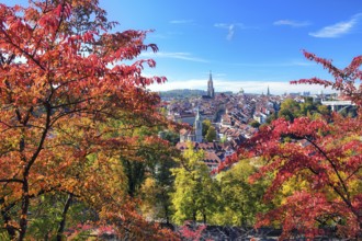 View of Bern's old town with colourful cherry trees, UNESCO World Heritage Site, Canton of Bern,