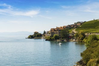 Picturesque village in the vineyards by the lake, Epesses, Lavaux, UNESCO World Heritage Site, Lake