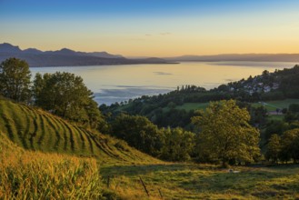 Panorama, Lake and mountains, Tour-de-Gourze, Riex, Sunset, Lavaux, UNESCO World Heritage Site,