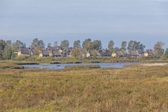 Holiday village Reetdorf Geltinger Birk, Geltinger Birk nature reserve, Geltinger Bucht,