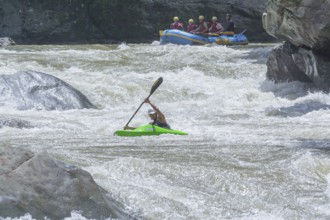 Young man kayaking in river, Costa Rica, Central America