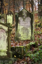 Moss-covered gravestones at the Bodenfelde Jewish cemetery, Northeim district, Lower Saxony,