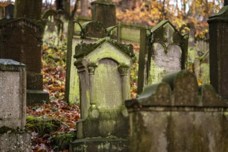 Moss-covered gravestones at the Bodenfelde Jewish cemetery, Northeim district, Lower Saxony,