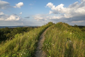 Hiking trail to the summit of the Steinberg under a blue sky with picturesque clouds, Extertal,