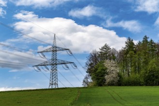 Electricity pylon above a green meadow next to a forest above Henkenbrink, blue sky with dramatic