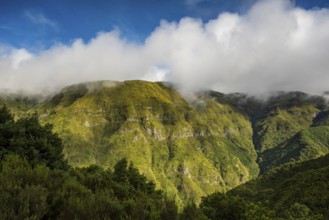 View from Levada Velha of the lush green wooded slopes of the pristine Rabaçal valley, a nature