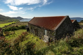 Stone farm buildings with rusty corrugated iron roof, Ring of Kerry, Iveragh Peninsula, County
